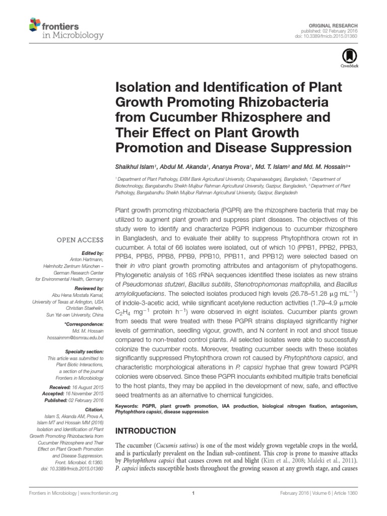 Isolation and Identification of Plant Growth Promoting Rhizobacteria ...