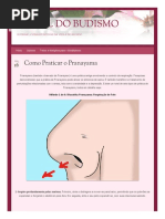 Portaldobudismo Org 2014-04-16 Como Praticar o Pranayama