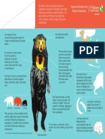 Sun Bear Infographic