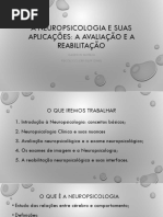 Minicurso Neuropsicologia
