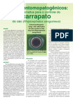 Fungos Entomopatogênicos R Sanguineus Nova Alternativa para o Controle Do Carrapato