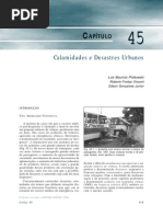 Trauma-45-Calamidades e Desastres Urbanos