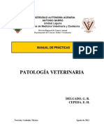 11.0 Manual de Patología General Veterinaria