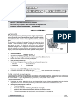 Libro 7 Biologia PDF