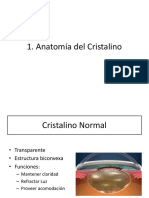 Anato Fisio Embrio Cristalino