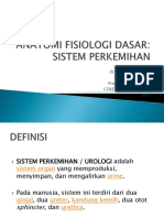 Sistem Perkemihan