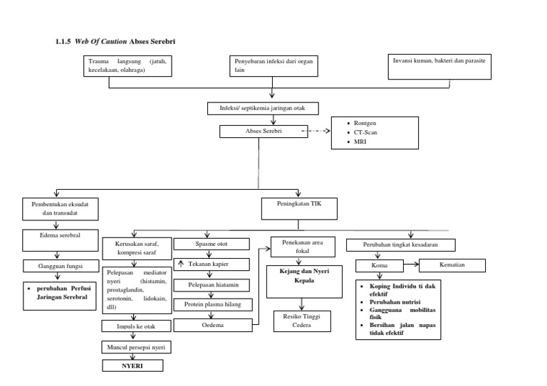WOC Abses | PDF