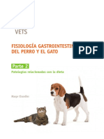 GUIA_GI_parte2.pdf