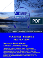 Acc Injury Prev2