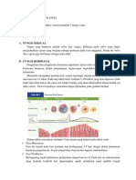 Fisiologi Reproduksi Wanita