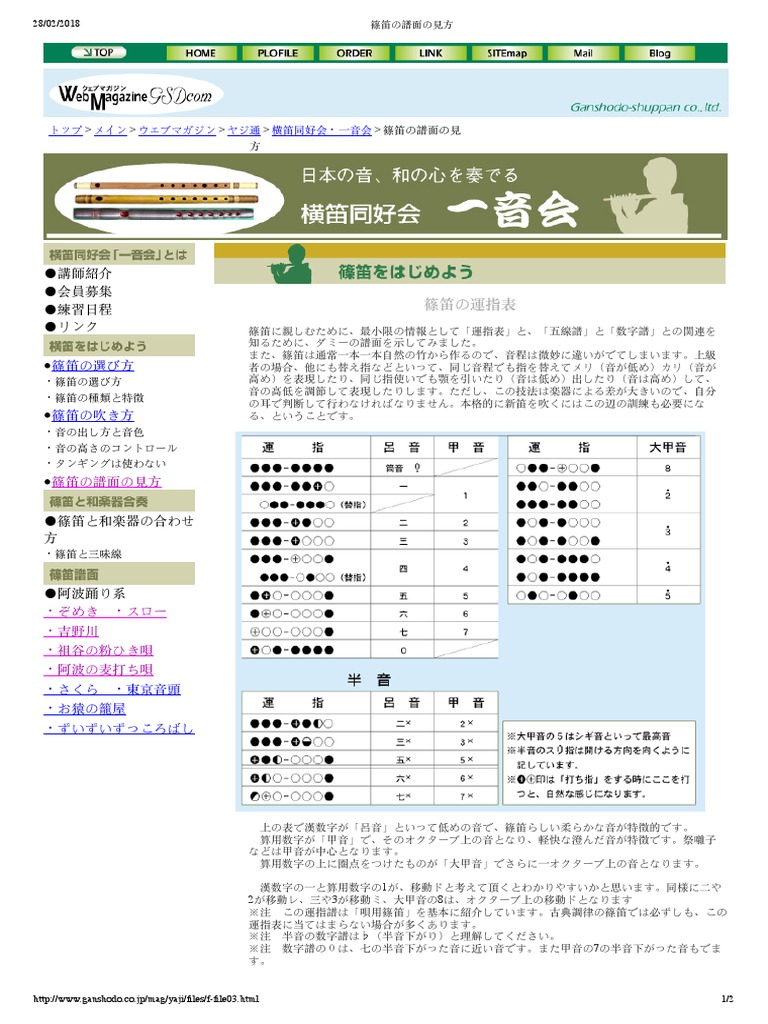 〇Nb右1059 篠笛 横笛 11点まとめ Amazon.co.jp: 義童288 篠笛(横笛)6穴4本調子(古典)全長46.1㎝太