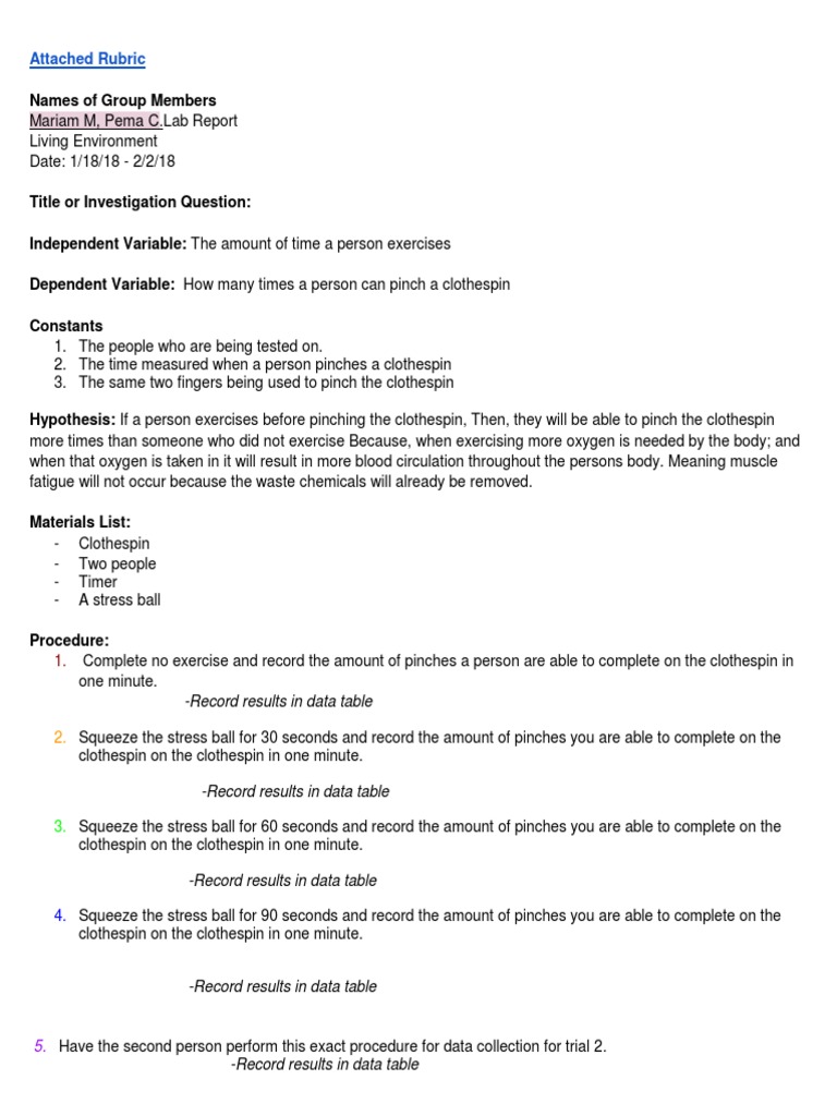 Making connections lab essay image