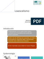 Seminario Loxoscelismo