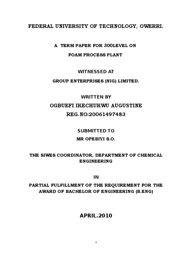 Foam Process Plant Term Paper FUTO | PDF | Technology & Engineering