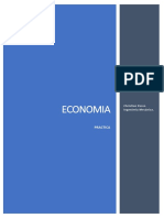 Economia: Practica