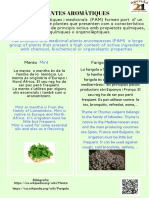 Plantes Aromàtiques PDF