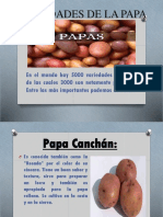 Variedades de La Papa Diapositivas