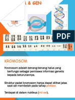 Kromosom Dan Gen