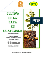 El Cultivo de La Papa en Guatemala, 2002