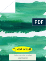 Tumor Wilms