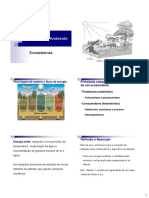 Ciencia Do Ambiente - Aula 4 - Ecossistemas Terrestres A PDF
