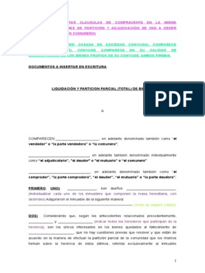 Modelo Escritura de Particion y Adjudicacion | PDF | Propiedad | Gobierno