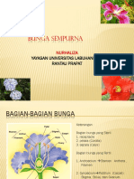 Bunga Sempurna