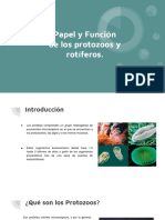 Papel y Función de Los Protozoos y Rotíferos.