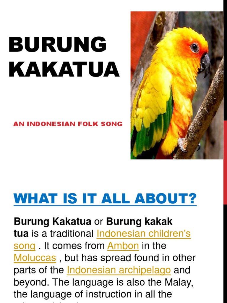 Burungkakatua 161017050229