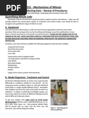 151f13 Mitosis3 Pdf Mitosis Cell Biology
