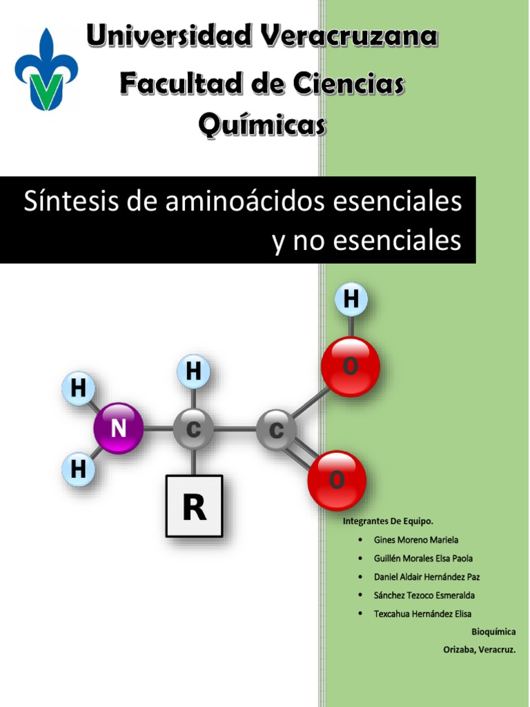 Síntesis de Aminoácidos Esenciales y No Esenciales Péptido Productos naturales
