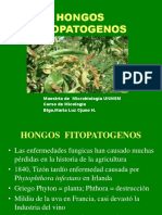 Hongos Fitopatogenos 3.ppt