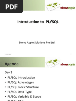 03_Intro_PL_SQL