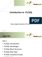 Introduction To PL/SQL: Stone Apple Solutions Pte LTD