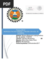 Práctica 20 Microbiología