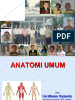 Anatomi Umum 1