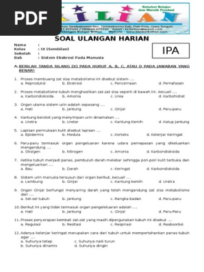 Soal Soal Jawablah Materi Sistem Ekskresi Pada Manusia