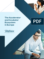 The Accelerator and Incubator Ecosystem in Europe PDF