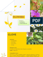 Top 3 Flower Spices: Clove, Saffron & Pyrethrum