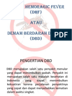 Dengue Hemoragic Fever (DHF) Atau Demam Berdarah Dengue (DBD)