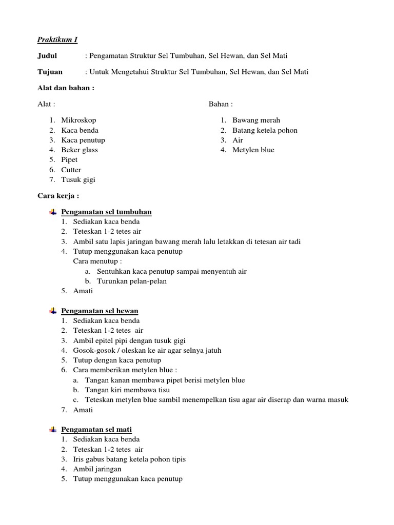 Laporan Jaringandocx