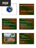 Download Rubber Tree Seed Production - Ppt by Nguyen Trieu My SN37270300 doc pdf