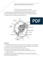 Structure of Plant Cell