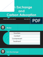 Ion Exchange and Carbon Adsorption - Riska Ristiyanti 21030116410011