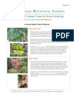 Rose Problems PDF