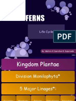 Bot3.1 (Report Fern Life Cycle)
