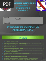 Producto Integrador de Aprendizaje PIA