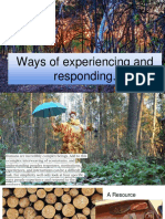 Experiencing and Responding To The Outdoors