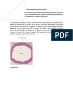 Enfermedades Del Sistema Circulatorio