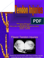 Week 23 Flexor - Tendon - Injuries - SHEENA - 2010 - Part - 1